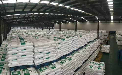 困境與自救 疫情之下多地 包飛機 包高鐵 包車 幫助企業復工