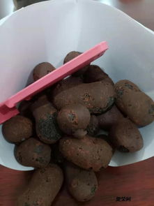 防城港陶粒 工程與家用優(yōu)選，品質(zhì)卓越價(jià)格實(shí)惠