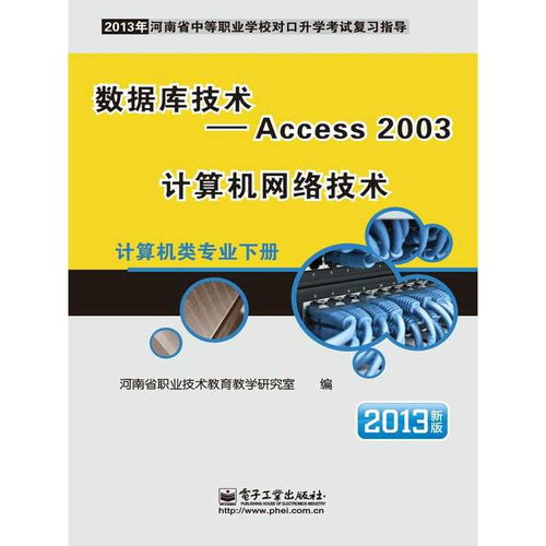 Access 2003與計算機網(wǎng)絡技術(shù) 計算機信息技術(shù)開發(fā)的核心書籍推薦